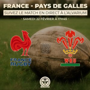 France contre pays de Galle